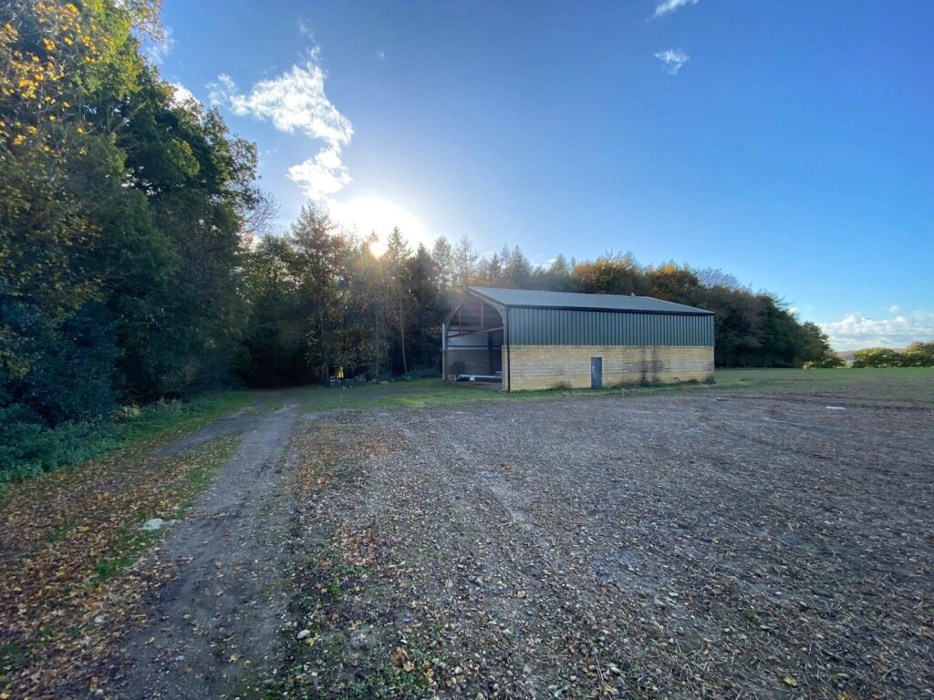 a tree in the middle of a dirt field