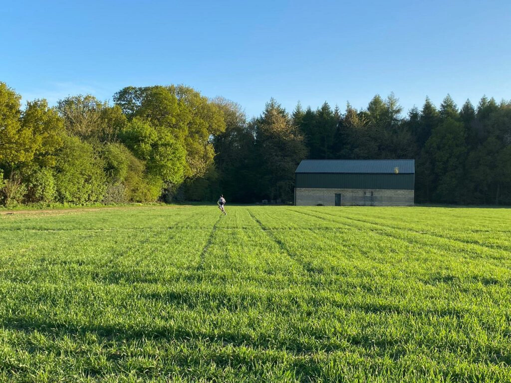a large green field with trees in the background