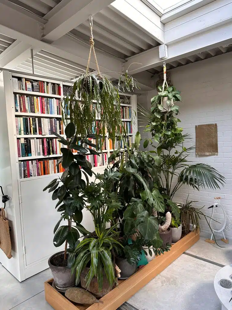 a plant in front of a building