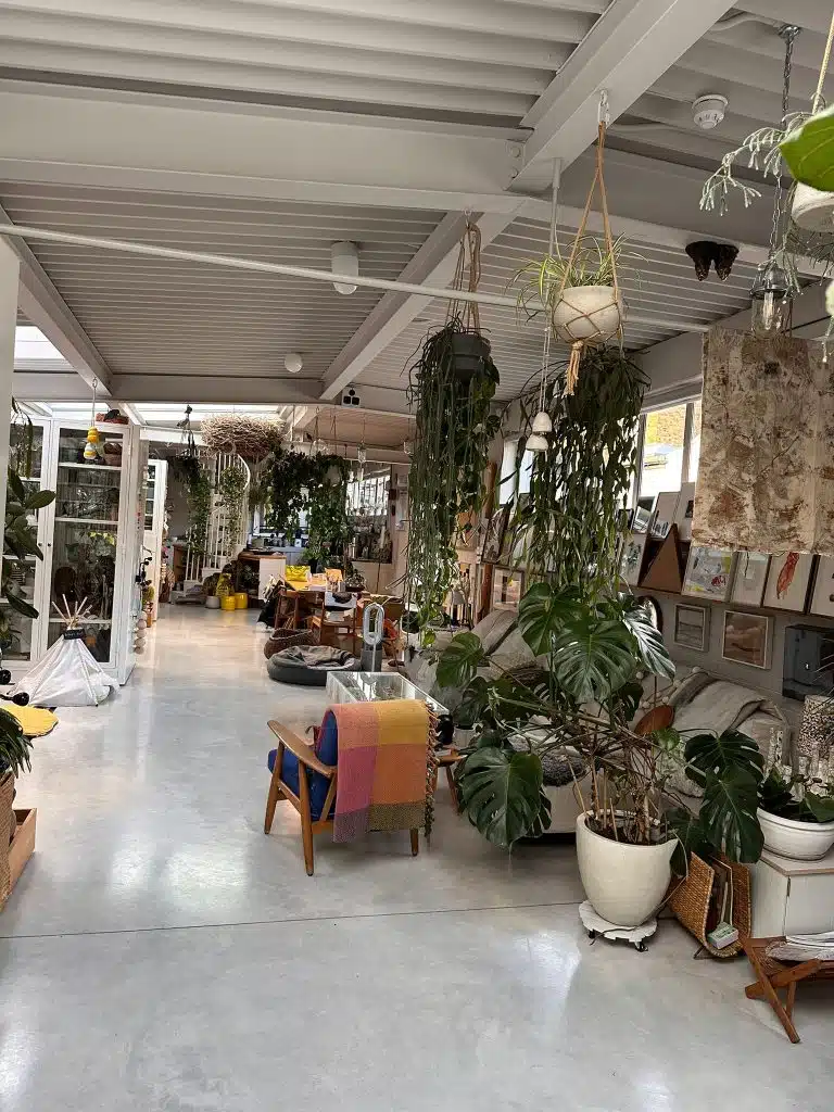 THE ARTISTS STUDIOWhatsApp Image 2023-01-31 at 16.09.52