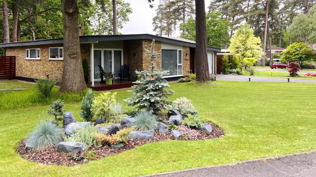 AMERICAN RANCH IMG_5380