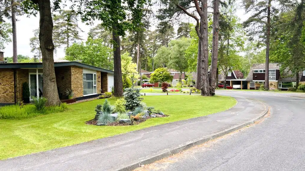 AMERICAN RANCH IMG_5382