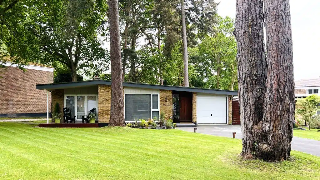 AMERICAN RANCH IMG_5384